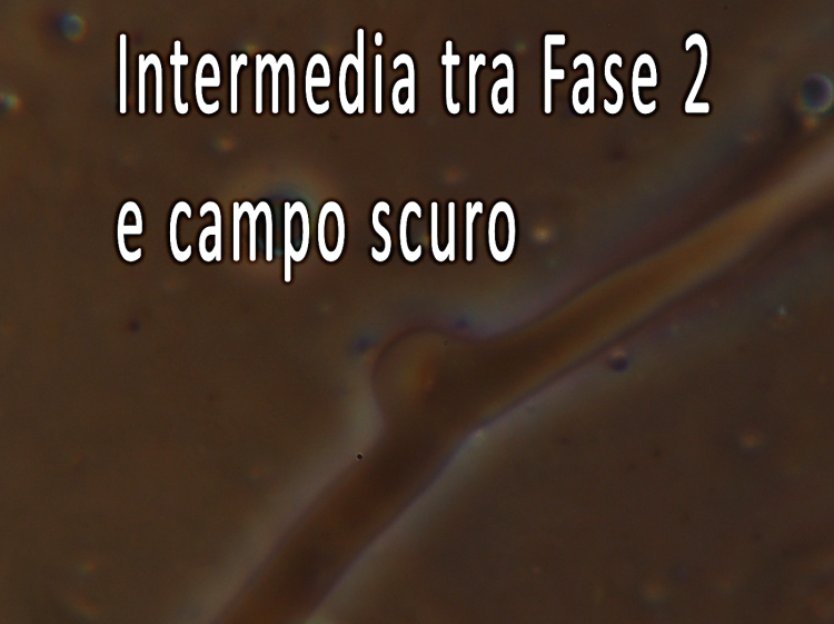 Il condensatore di Heine
